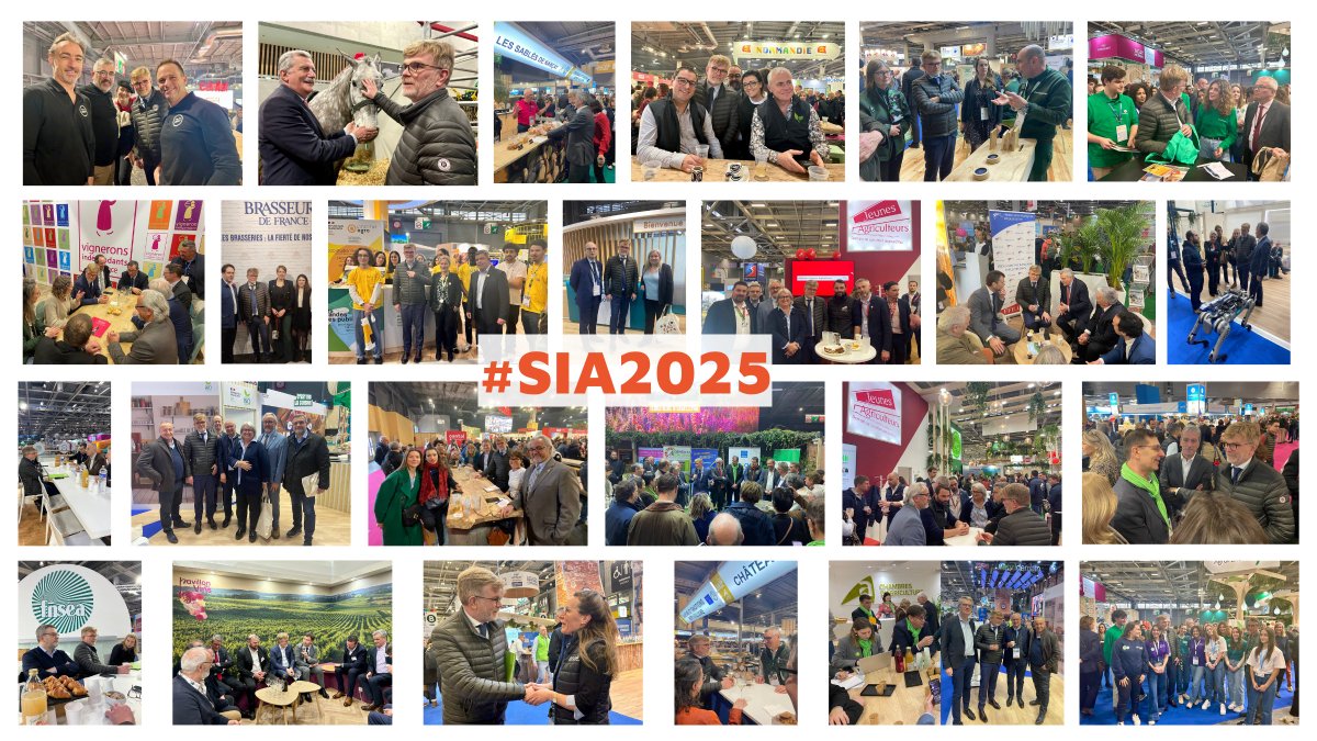 La 61e édition du Salon International de l’Agriculture a fermé ses portes aujourd’hui. L’occasion de remercier l’ensemble des organisateurs et des exposants pour avoir su, une fois encore, prouver que l’agriculture française fait notre fierté à tous et sait intéresser les