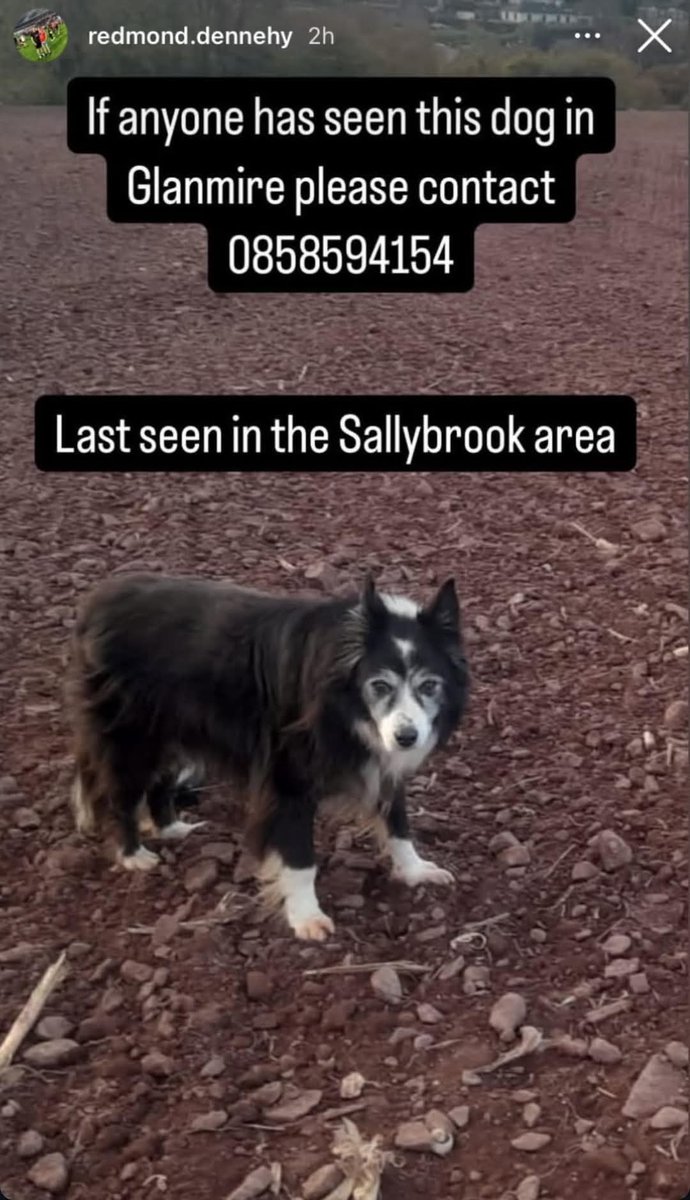 Please share this baby is 17 and is missing in the Glanmire  area. Rt please x <a href="/PaulByrne_1/">Paul Byrne</a>  <a href="/Corks96FM/">Cork's 96FM</a>  <a href="/corkbeo/">Cork Beo</a>  <a href="/CorkSafetyAlert/">Cork Safety Alerts</a>   not yr usual BUT !!!! Please