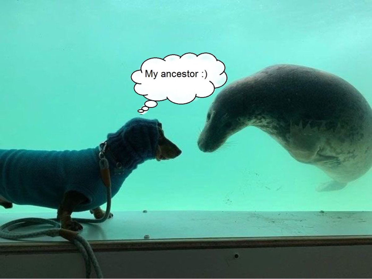 Justin Whang 🐙 (@justinwhang) on Twitter photo 