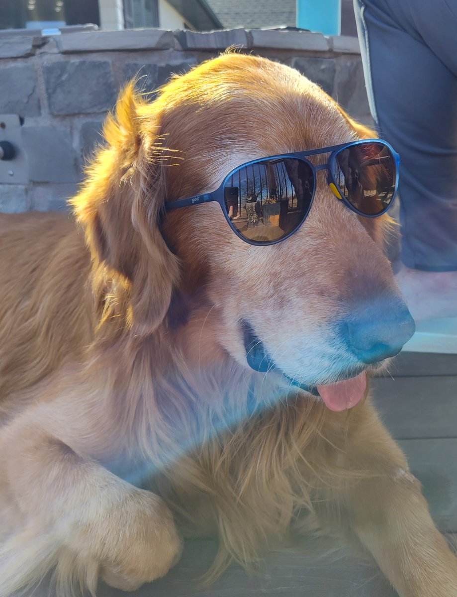 lilbluesquatch's tweet photo. Sunday funday. #deckbeers https://t.co/PygAJpHI3e