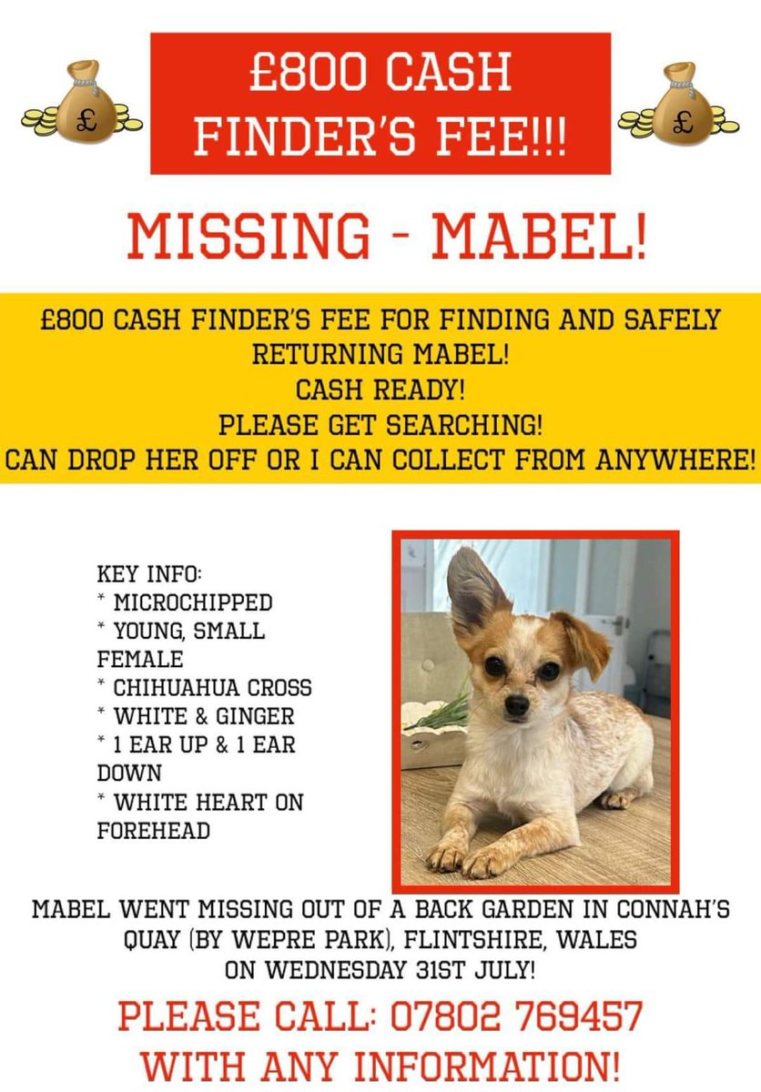 Missing Pets GB tweet media