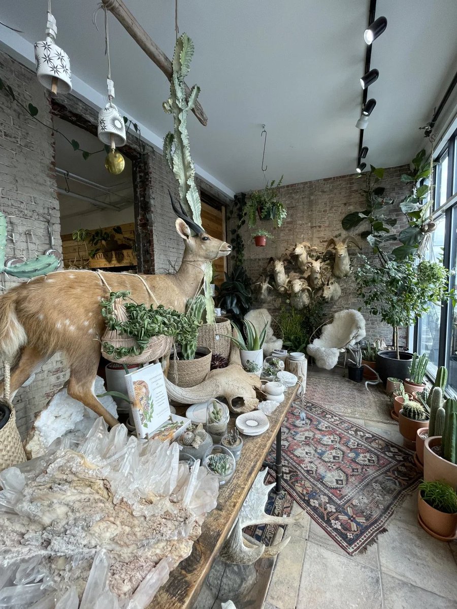 Carlin_Tu01's tweet image. The joy of visiting a greenery market is unmatched! Surrounded by all sorts of greenery and breathing in the scent of nature!
#greenplantmarket #plantcontrol #healinglife #homegreenery #enhancinglifehappiness