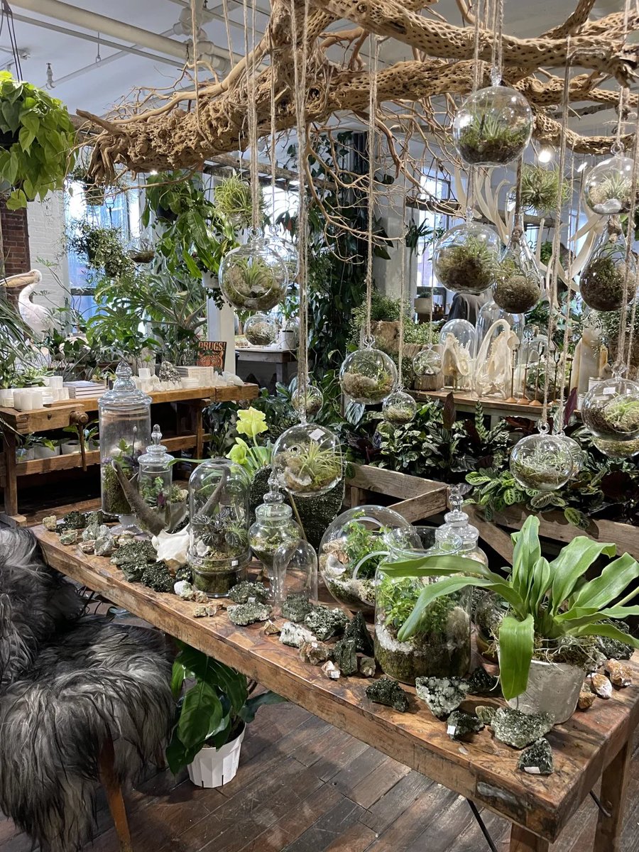 Carlin_Tu01's tweet image. The joy of visiting a greenery market is unmatched! Surrounded by all sorts of greenery and breathing in the scent of nature!
#greenplantmarket #plantcontrol #healinglife #homegreenery #enhancinglifehappiness