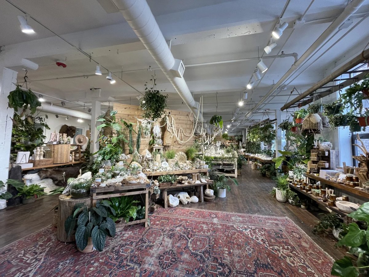 Carlin_Tu01's tweet image. The joy of visiting a greenery market is unmatched! Surrounded by all sorts of greenery and breathing in the scent of nature!
#greenplantmarket #plantcontrol #healinglife #homegreenery #enhancinglifehappiness