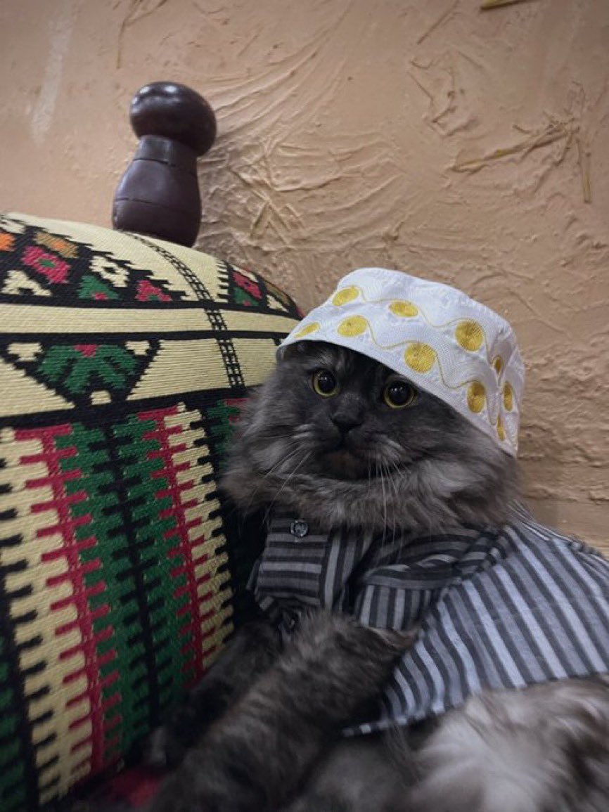 ِ (@vscokuwait_) on Twitter photo 