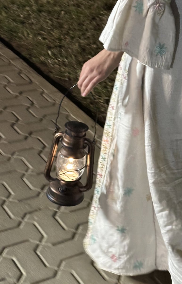 ✩₊˚.⋆☾⋆⁺₊✧