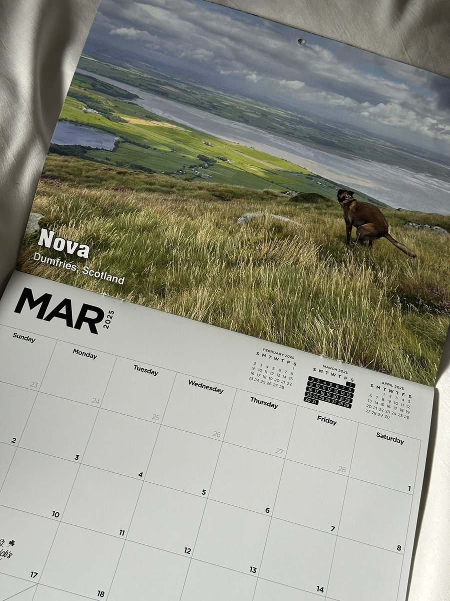 Spring is almost here! 🐥🌷☀️

#poopingpooches #calendar #march #sunday #scotland #nova #cutedog