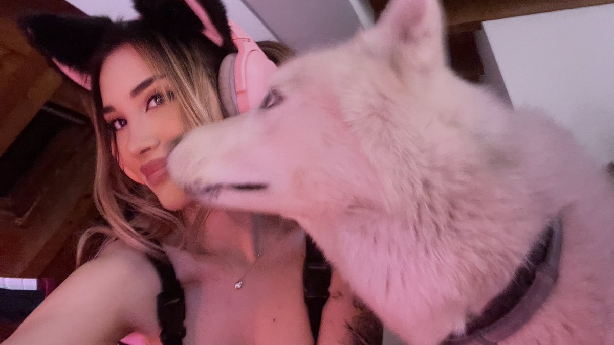 K α т т н • ♡ (@katthtv) on Twitter photo 