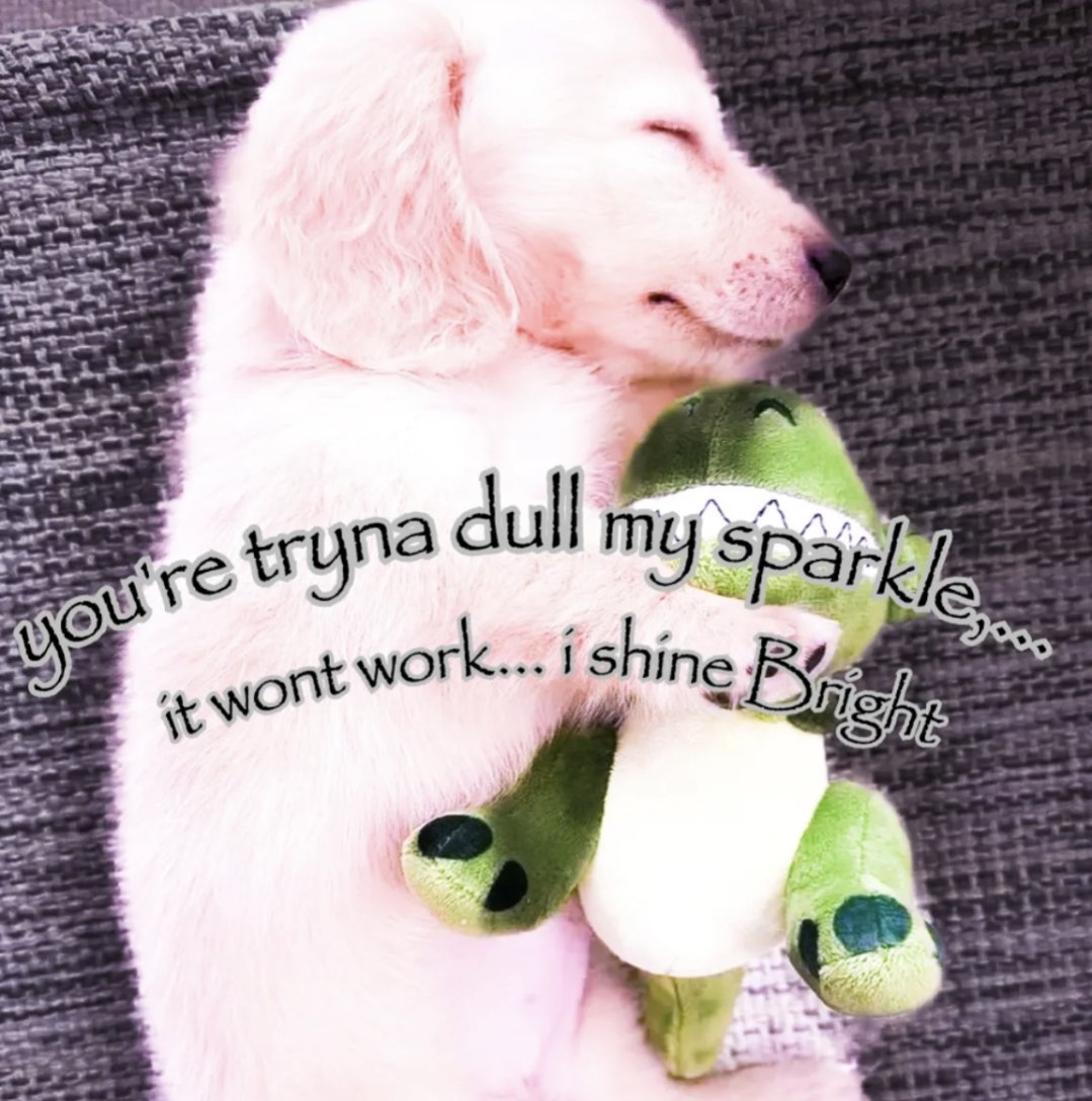 purbling 🫐 (@purbcat) on Twitter photo 