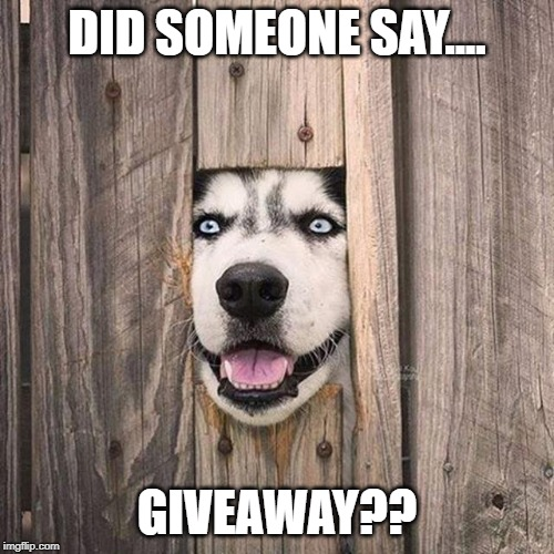 $50 AMAZON GIFT CARD GIVEAWAY 

MUST LIKE DEALS TO ENTER

👉 TAG ALL YOUR HOMIES 
👉 LIKE THIS POST 
👉 MUST BE FOLLOWING
👉 RETWEET

Will pick W1NNER on 3/14

#giveway #Freebies #freestuff #clearance #walmart #amazon #deals #cheap #sales #reseller #fba #discounts #ebayseller