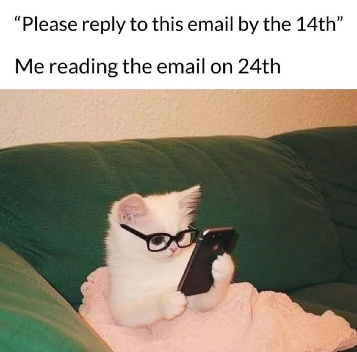 Elic Bramlett tweet media