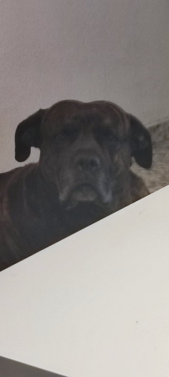 Fully watches over you  #solana