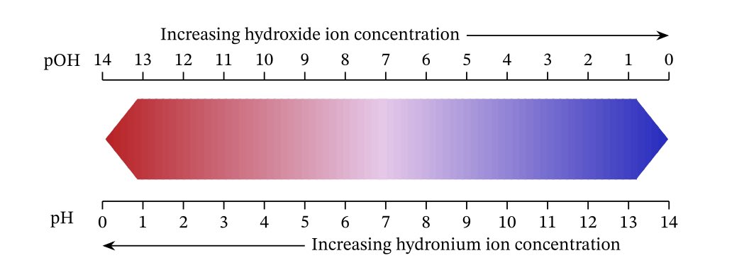 “The term “acidification” may indeed be used by scientists to describe any drop in pH level…” Yes, because you use the term acidity whenever referring to pH and alkalinity whenever referring to pOH. pH + pOH = 14. Thus less basic = more acidic.