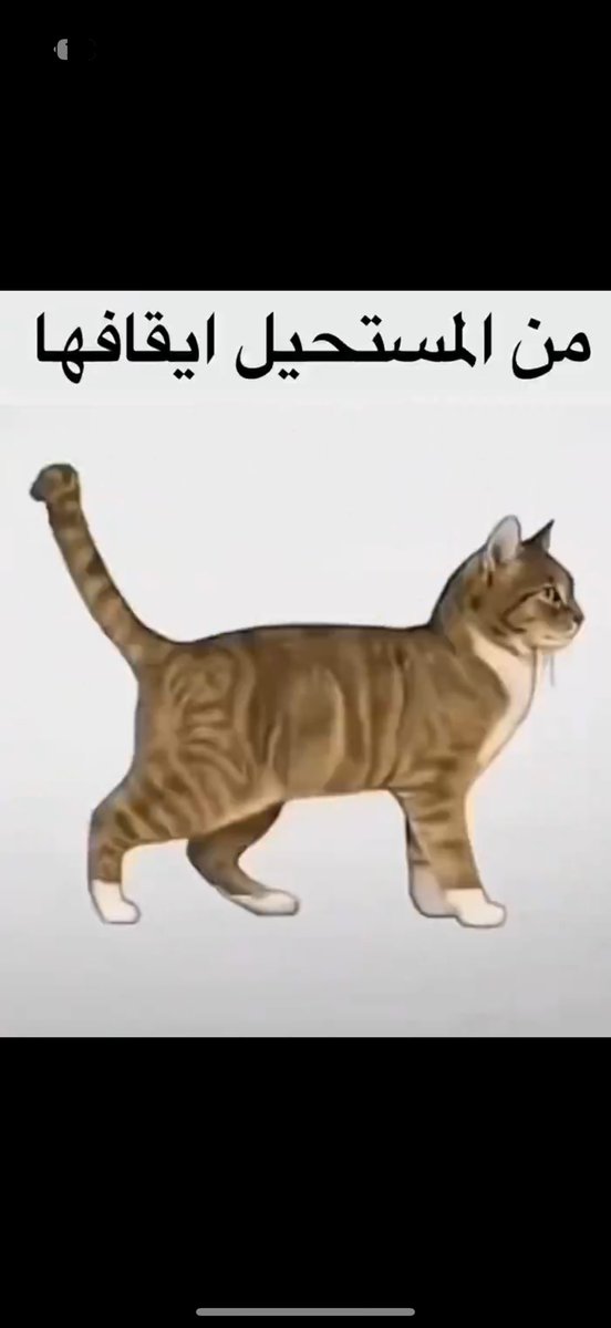 Almutlaq90a's tweet photo. @Ne_zaha https://t.co/t8fzAgLn9m