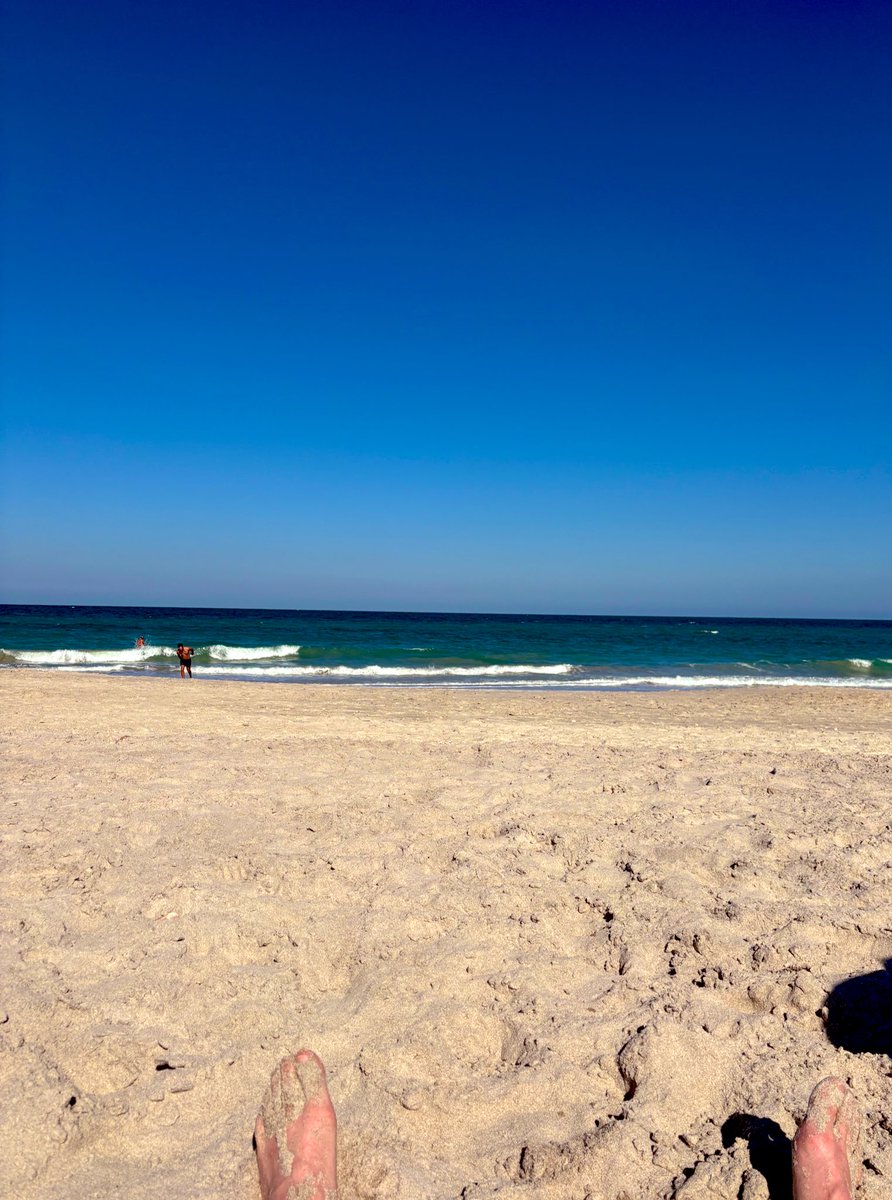 Trout__'s tweet photo. Sitting here during this “high shark advisory” thinking about how cool of a story getting attacked by a shark would be. https://t.co/pXFsb4LB4h