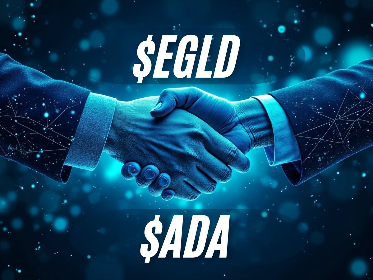 Moisa Adrian tweet media