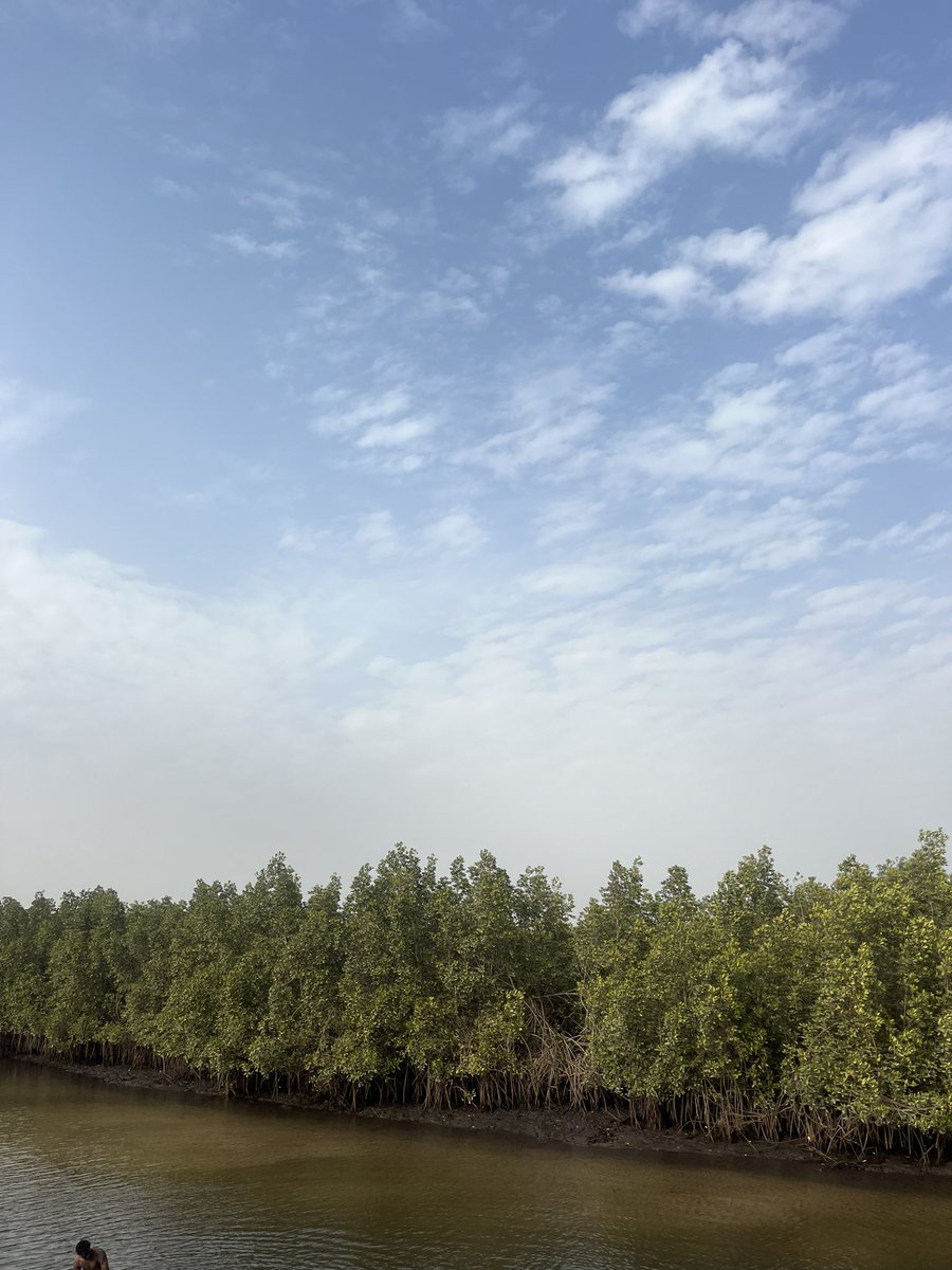 Nice experience, explored little nature around the swamp.