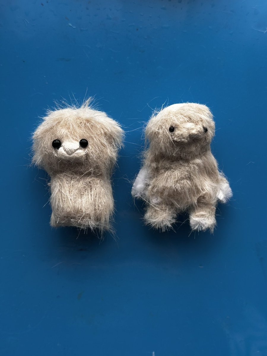 経過を載せます
まだもう少しかわいくできる、何ができるのかな？