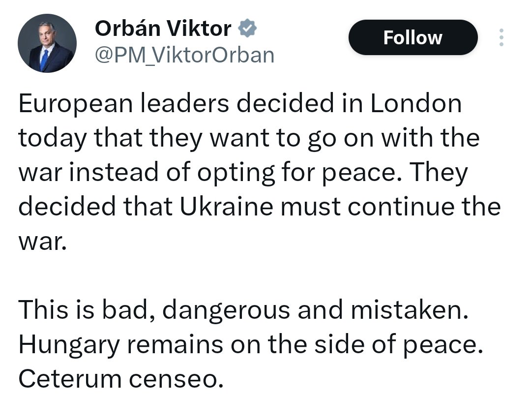 Willy Tolerdo tweet media