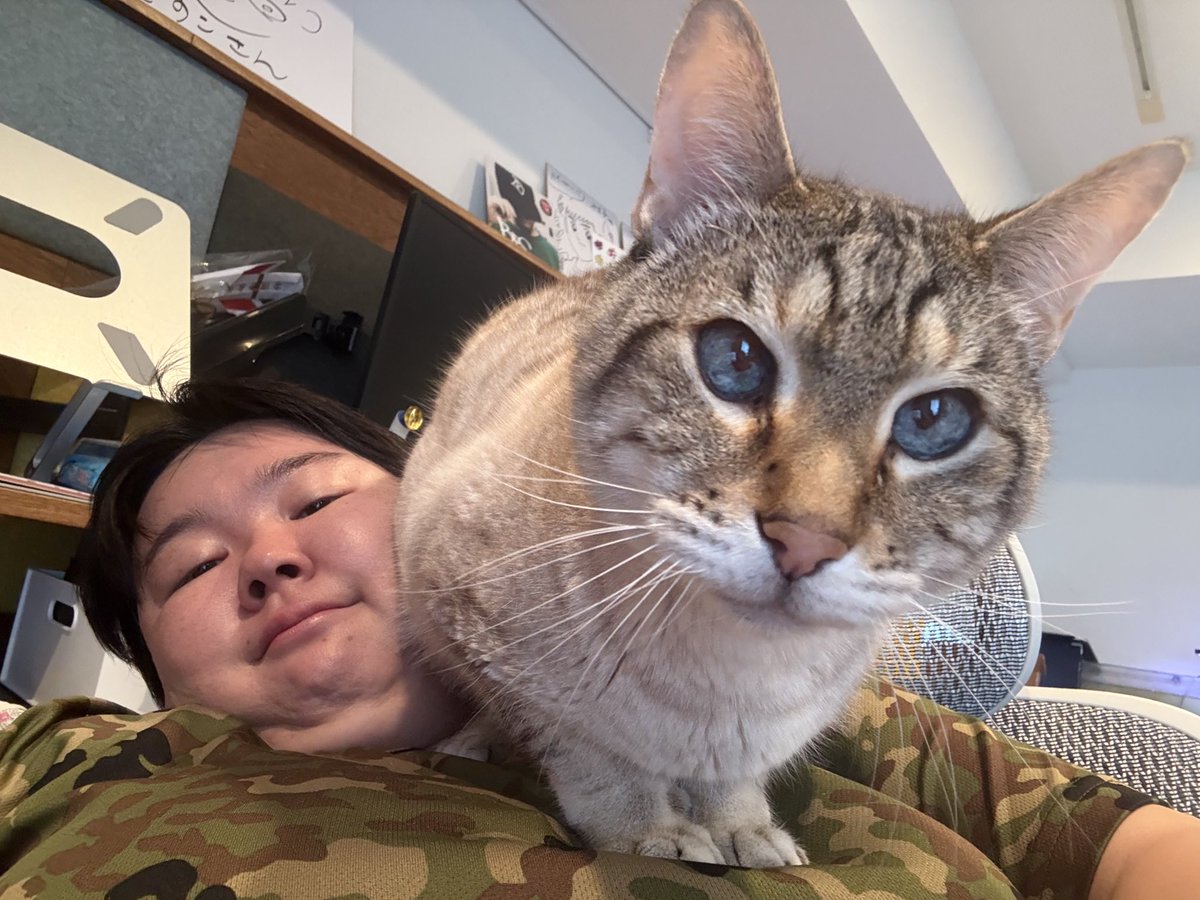 やす子 on X: 