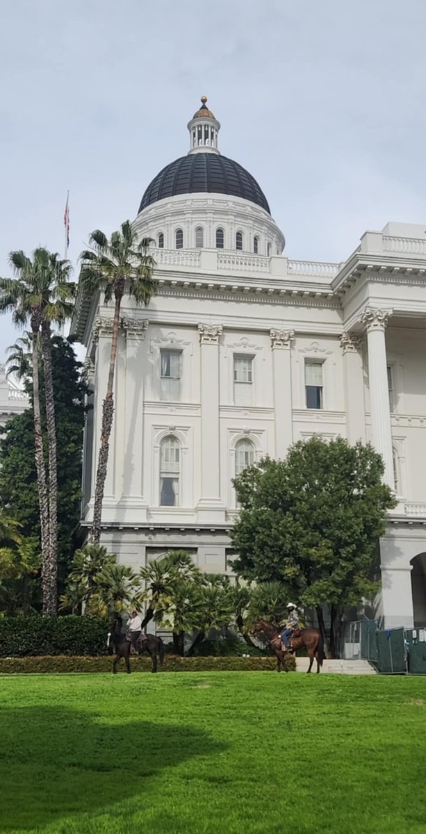 look what I saw at the capital