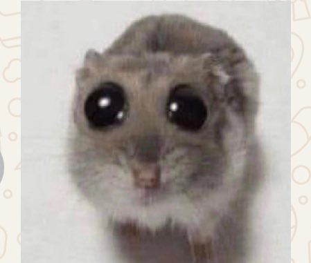 Mi mood 24/7 últimamente