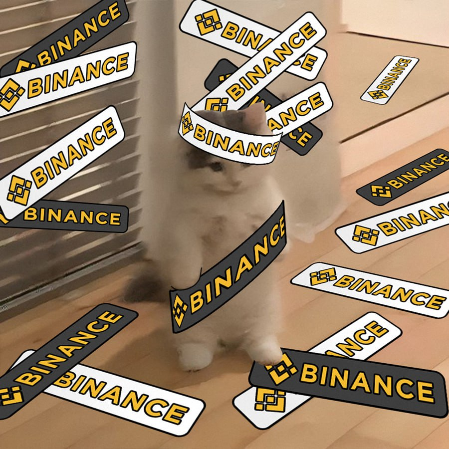 michionsolana's tweet photo. @Binance_intern to michi 1/69 https://t.co/hfbplYSnR3
