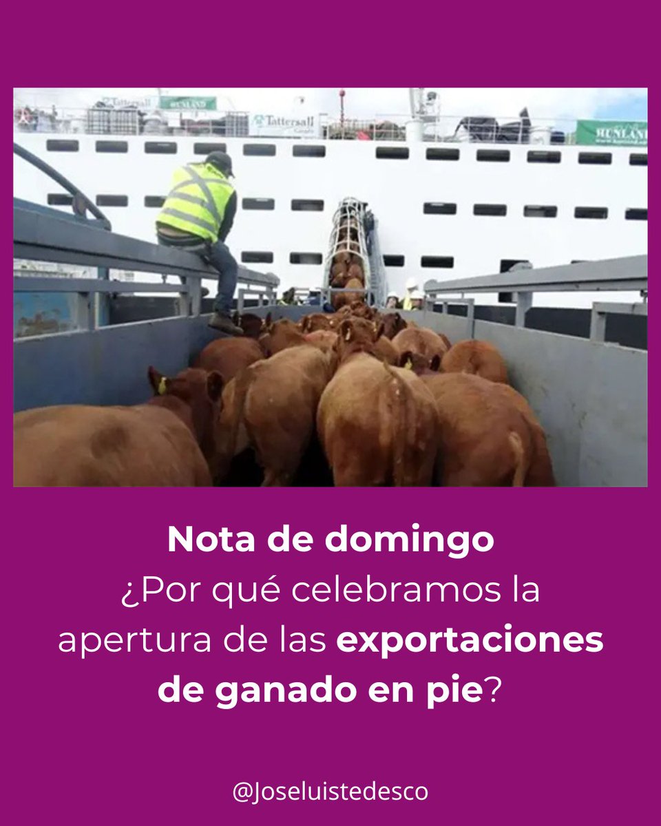Se abrió la exportación de ganado en pie y no tardaron en aparecer los defensores de quienes tienen de rehenes a los ciudadanos y empresas argentinas con el cuento de "cuidar a la industria argentina".

La exportación de ganado en pie había sido prohibida por Cámpora en 1973 con