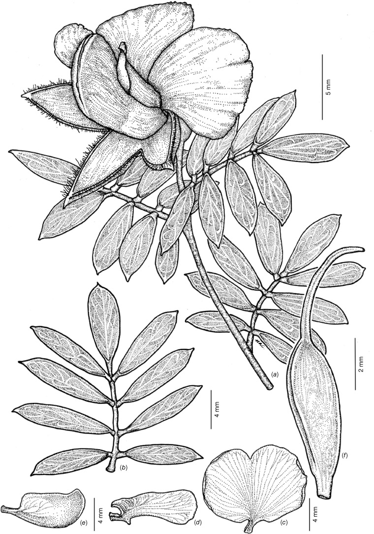 RBGV Science tweet media