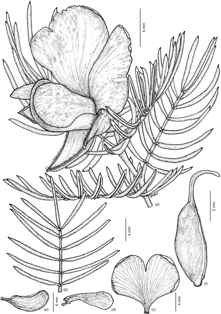 RBGV Science tweet media