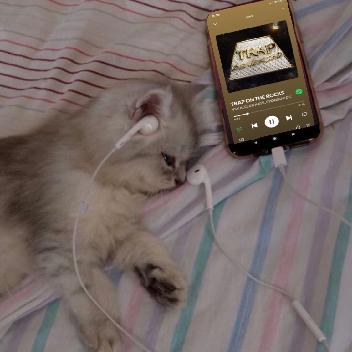 𝐨𝐫𝐢:) (@oritrajoflores) on Twitter photo 