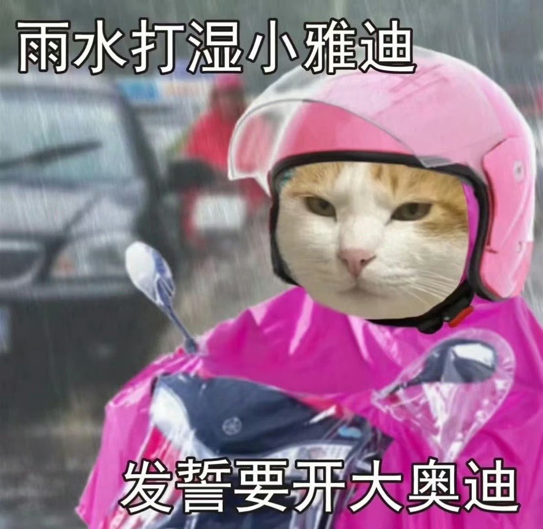 媒体预览
