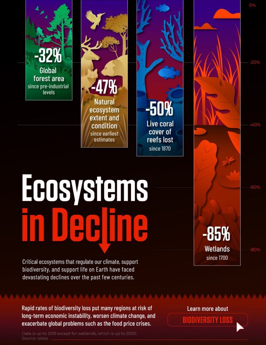🌍 Nature is declining faster than ever. 

Since 1700:

🔹 Wetlands: -85% 🌊

🔹 Coral Reefs: -50% 🪸

🔹 Forests: -32% 🌳

🔹 Ecosystems: -47% overall

A great visualisation of <a href="/IPBES/">ipbes</a> data by <a href="/VisualCap/">Visual Capitalist</a> and <a href="/ZerocarbonA/">Zero Carbon Analytics</a> ⤵️

visualcapitalist.com/sp/visualizing…
Via  <a href="/IPBES/">ipbes</a>