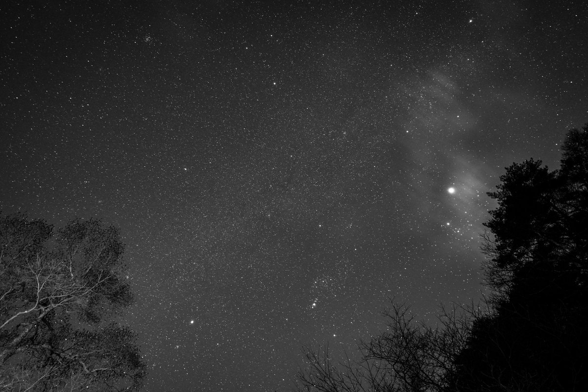 ごったん tweet media