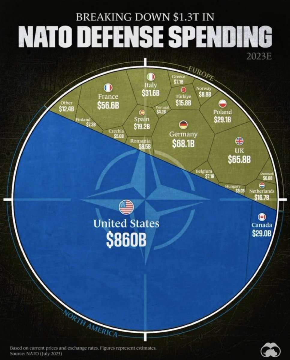 Exit NATO.  Supposed to be for defense, but they want war.  Screw ‘em.  Get out!