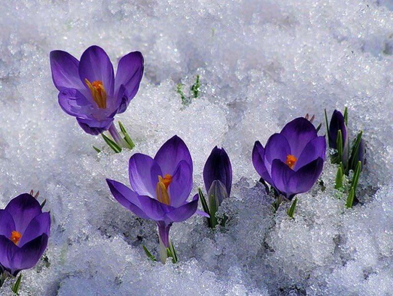 ☀️Өглөөний мэнд хүргэе.
Аргын тооллын 3 сарын 3,
Билгийн тооллын хаврын тэргүүн сарын шинийн 4.

Хийсэн үйл бүхэг арвин байг🤩🔁