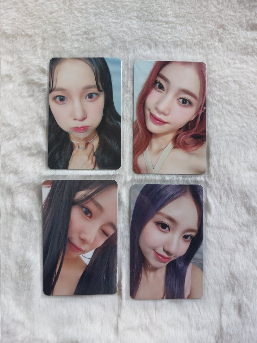 마쿠 maku 🐼 tweet media