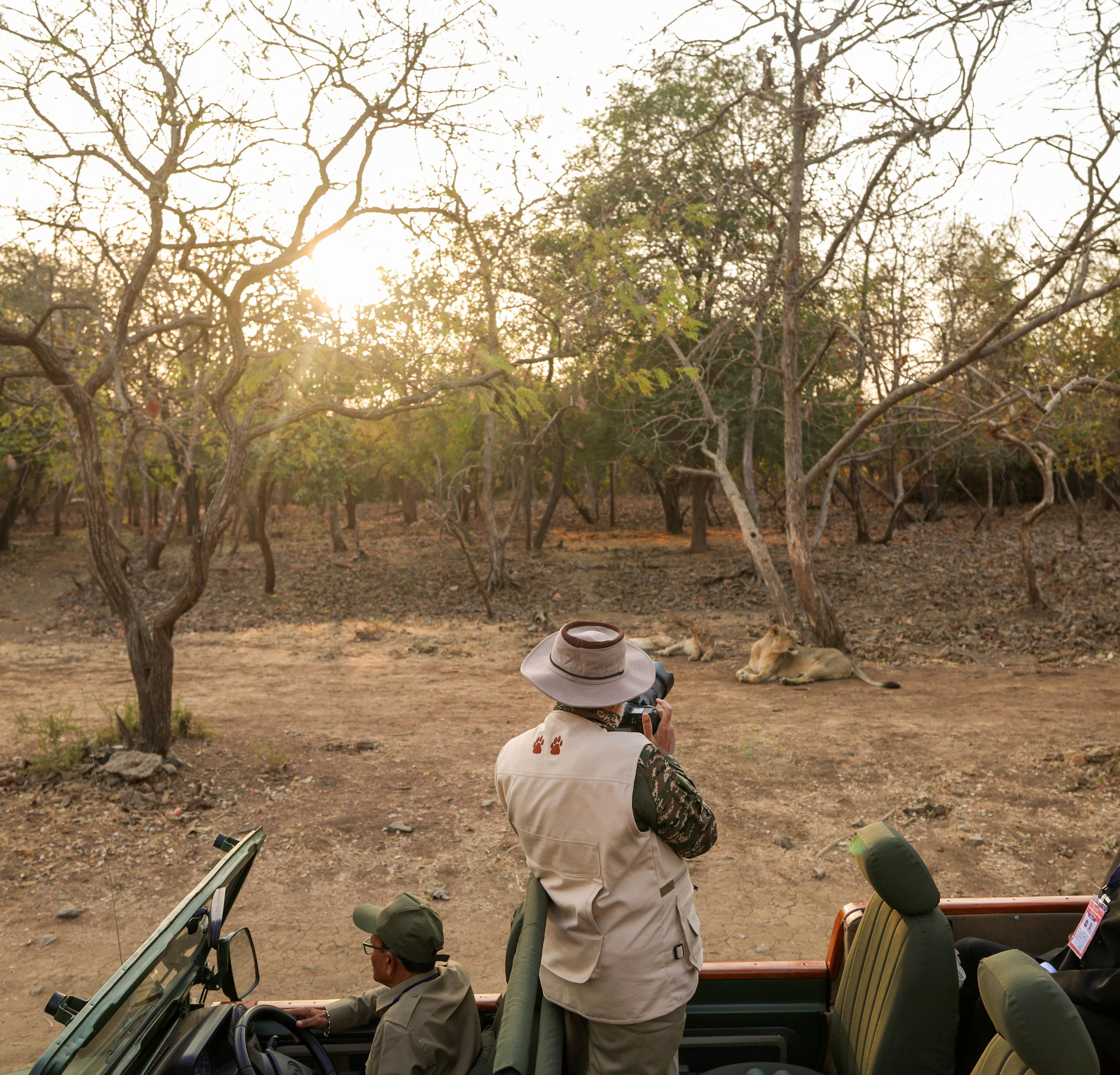 Tourist footfall surges in Sasan Gir, Barda Sanctuary post PM Modi’s visit