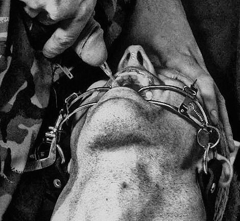 Why would a slave want to do something humiliating, painful or uncomfortable? Maybe it's because they crave the excitement and fun that goes with being #controlled. Tell Us about a fantasy, fag. #gay #slave #gayslave #slavetraining #gayslavetraining