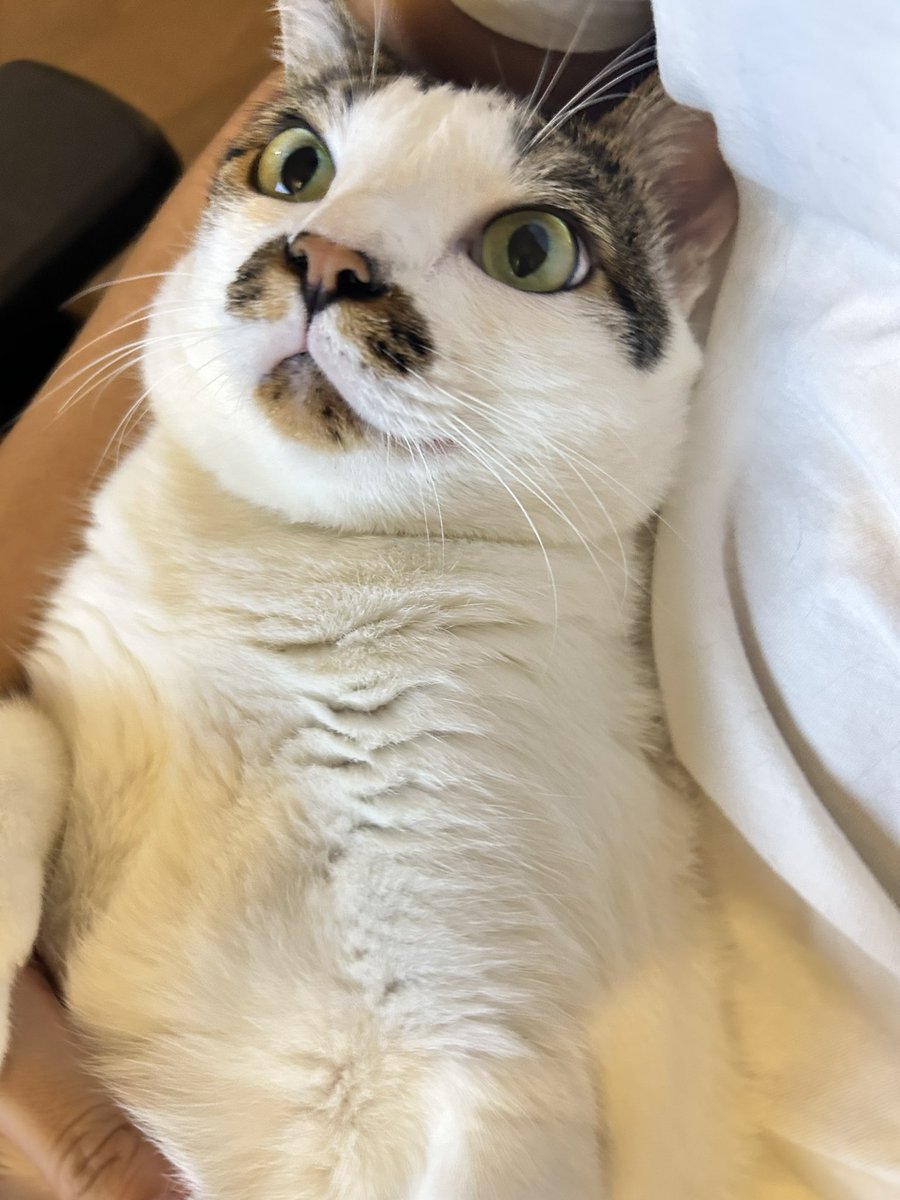 asrhmint's tweet image. เอาเรื่องจิงมาพู๊ดดดดดดด