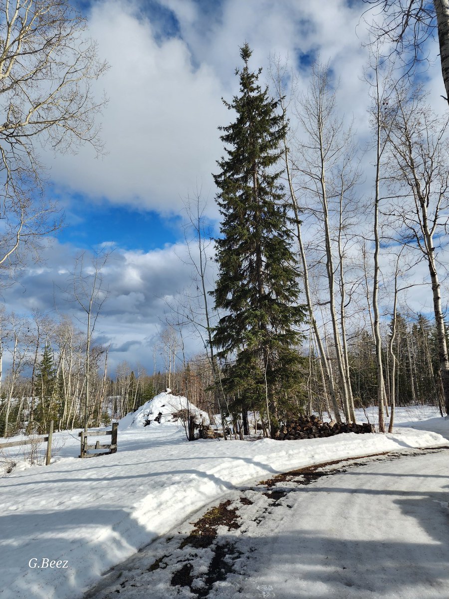 beesley_gillian's tweet image. Have a good start to the week twitterpals,  look! We&apos;re starting to see the first patches of driveway, the ice is melting.😁#canadianspring