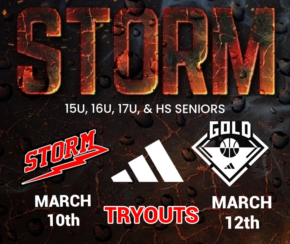 AzStormCamacho's tweet image. AZ STORM TRYOUTS!

forms.gle/bcGS9SYFZoNH1i…