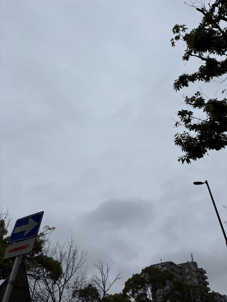 おはようございます😃

今日の川崎市の天気は、雨☔

土日は暖かかったですが、今日は寒いですね🥶

体調を崩さないように体調管理に気をつけて、今週も頑張っていきましょう💪

#企業公式が毎朝地元の天気を言い合う 
#企業公式相互フォロー
#就労移行 #就労継続支援B型 #川崎