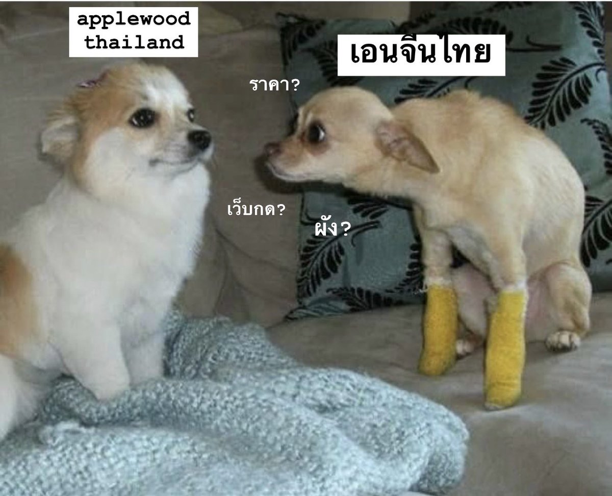 เอนจีนไทยตอนนี้