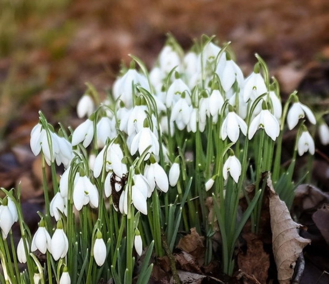 Guten Morgen ❤️😘☕️🥳
Gestern im Laden.
2 Familien.
Fazit: Sitzkissen jetzt dreckig und Bändel abgerissen
Tischklammern verbogen und kaputt.
Sind nach 5 Minuten Beratung wieder gegangen
Ich habs leider erst hinterher gesehen 🙄
Ich liebe sowas!!! 
Nicht. 🤮🙄

Habt es fein 🥰