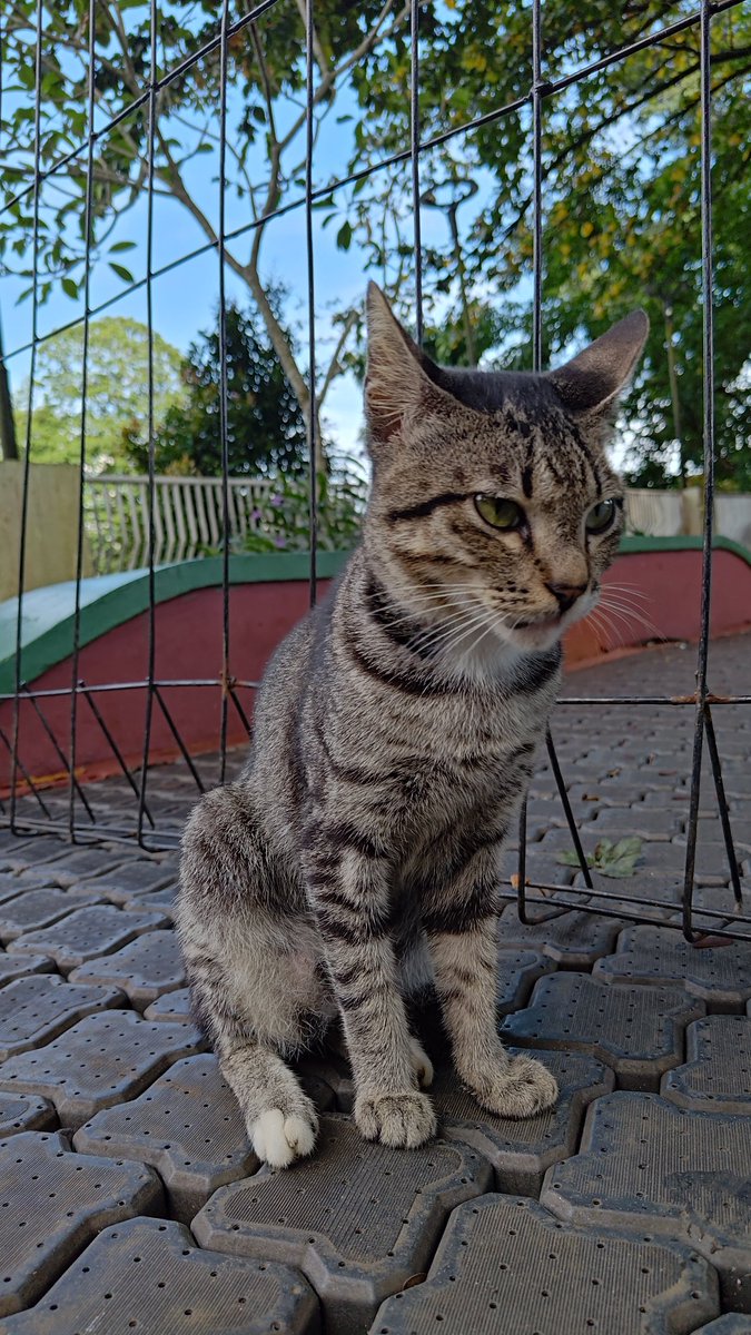 Aku di saat istirahat kerja bulan Ramadhan