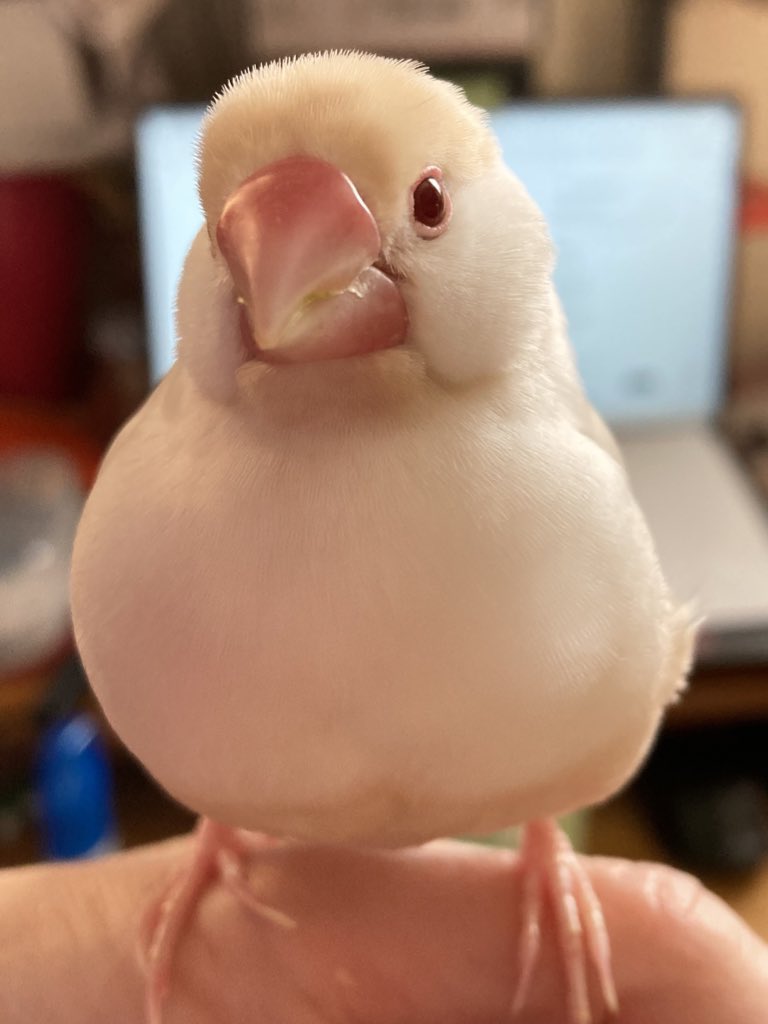 🍍benio～もみじちゃんと友達になりたい (@bellebelle07181) / Posts / X