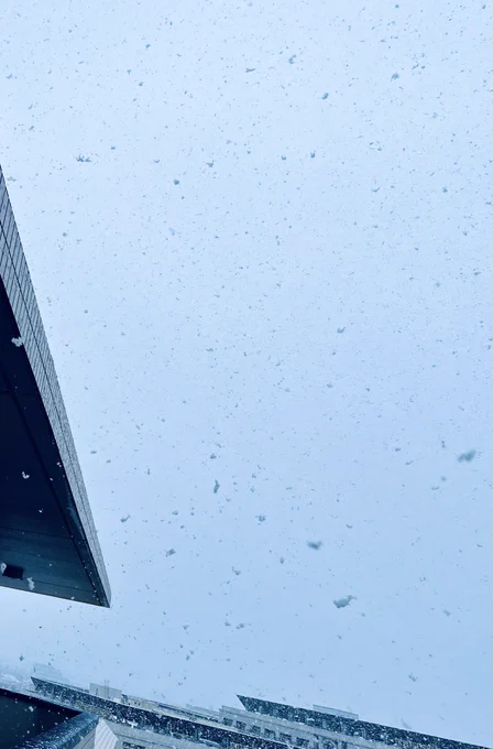 寒いと思ったら雪! 