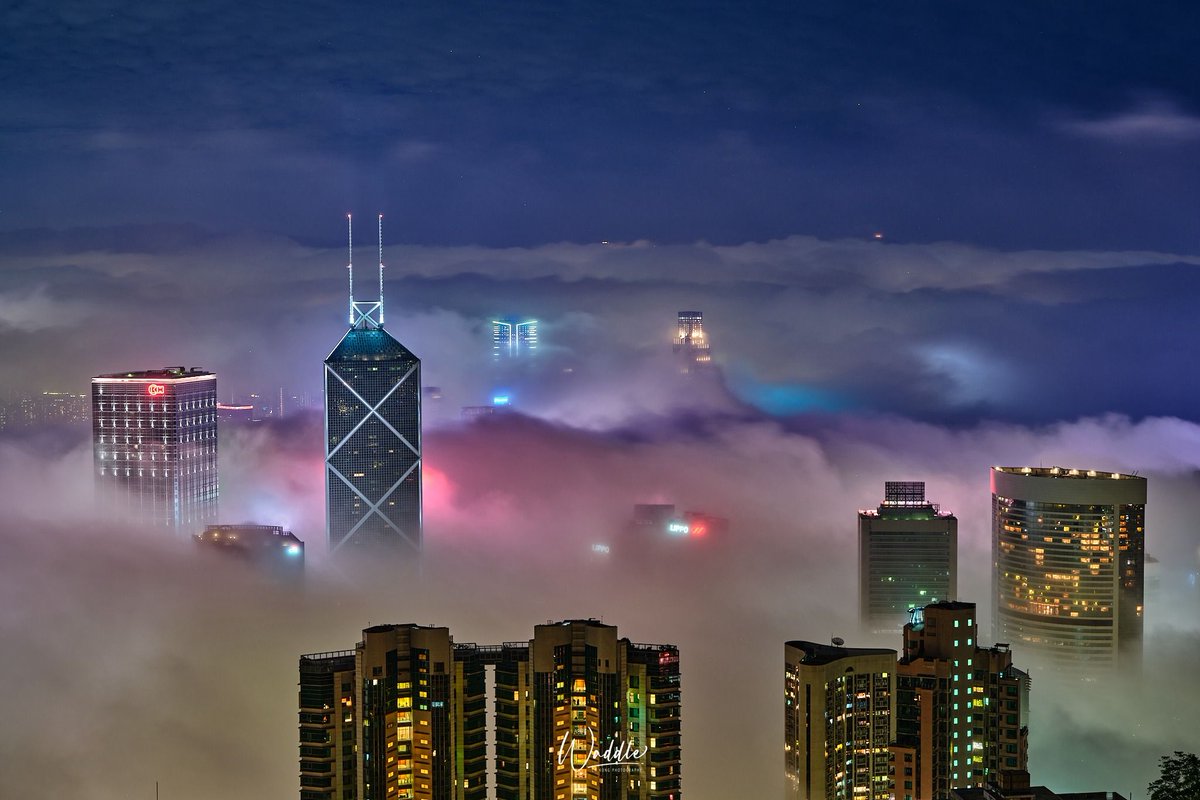 Hong Kong Free Press HKFP tweet media