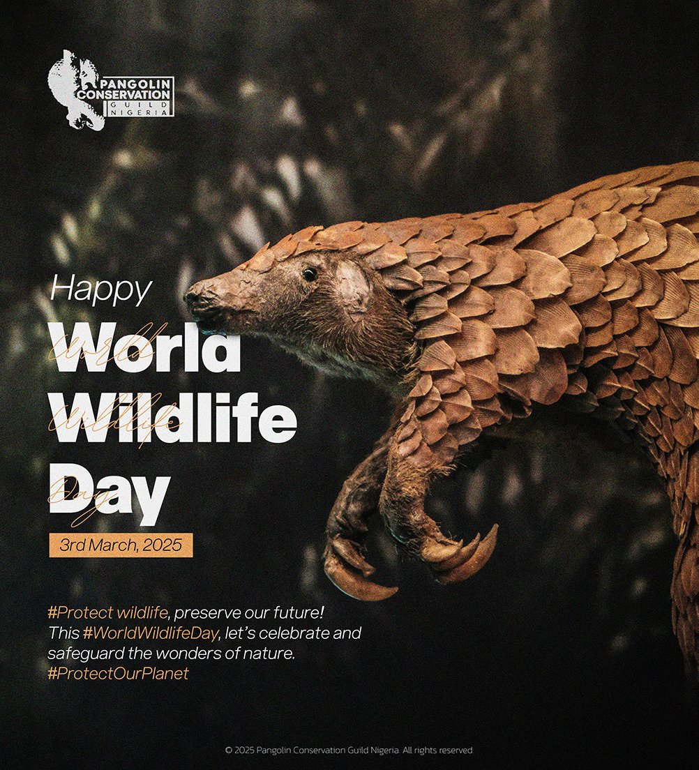 #WorldWildlifeDay #WorldWildlifeDay2025